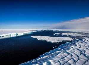Подорож до Арктики