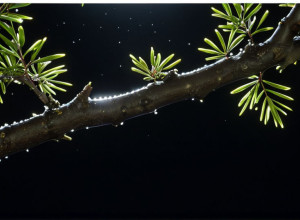 Кеті Перрі спростувала чутки про ШІ у новому музичному відео