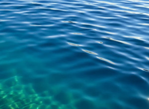 Останній у своєму роді? Маленьке диво плаває в Каліфорнійській затоці