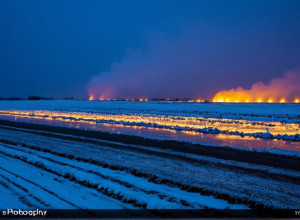 Зміна клімату та її наслідки