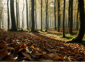 Встановлено особу жінки, знайденої мертвою в лісі Мюнхена