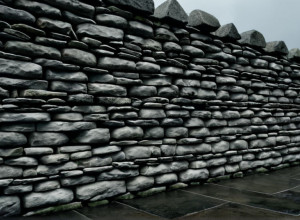 Такер Карлсон: «Я ненавиджу республіканців» – Глибокий розкол у таборі Трампа