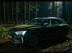 В Австрії зникла інфлюенсерка після різдвяної вечірки: телефон знайдено, авто хлопця спалено