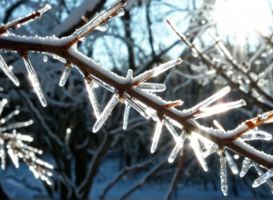 Увага, ожеледиця: Німеччину очікують небезпечні погодні умови та потепління