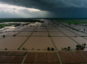Масштабні повені в Таїланді: Провінції зруйновані, є жертви