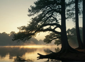 Роланд Кайзер: "Я трохи мрійник, але моя родина – це мрія, що здійснилася"