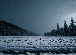 Німеччина готується до зими: Іде сніг та похолодання