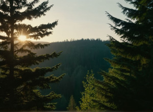 Потужний вибух сколихнув Берлін: Знешкодження 800 кг нелегальної піротехніки викликало переполох