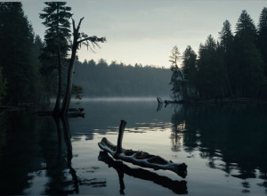 Жахлива знахідка поблизу Падерборна: Кістка з озера належить зниклому босу мафії