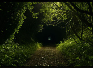 Жахливе вбивство у Зіндельфінгені: Тіло жінки знайдено через місяці у тунелі для амфібій