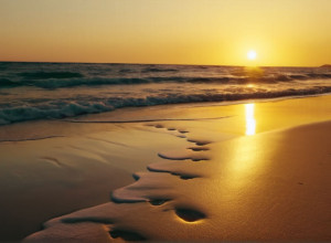 Джессіка Альба розсекретила нового бойфренда: зірка Голлівуду поділилася романтичними фото