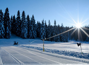 Провальний старт німецьких біатлоністок на Кубку світу: фініш поза топ-10