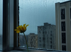 Трагедія в Дюссельдорфі: Матір та немовля знайшли мертвими, батька арештовано з важкими пораненнями