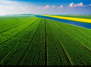 Захист довкілля та сталий розвиток