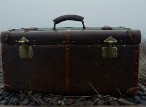 Словенець зізнався у вбивстві інфлюенсерки: тіло Стефані знайшли у валізі в Словенії