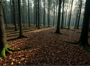 Убивство інфлюенсерки Стефані П.: Колишній хлопець зізнався у злочині