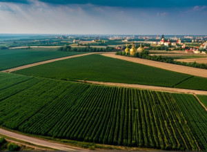 Історія України: Ключові Події та Тенденції