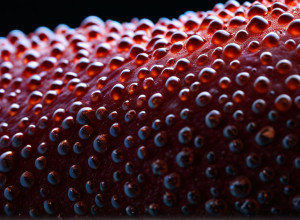 Ботокс: Чи є "занадто пізно" для ін’єкцій проти зморшок? Відповіді фахівця