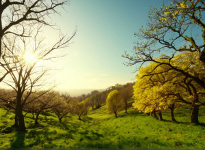 Аномальне тепло в Німеччині: до +18 градусів на початку грудня