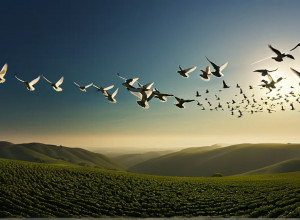 Андреа Берг представила пісню миру «Білі голуби» на гала-концерті «Ein Herz für Kinder»