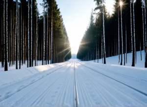 Українська біатлоністка Юлія Таннгаймер виконала олімпійський норматив