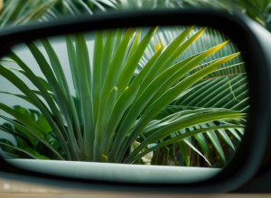 Двійник колишнього: На шоу "Make Love, Fake Love" з'явився учасник, схожий на екс-бойфренда Олени Мірас