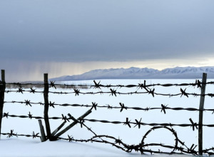 Жахливі свідчення: Українських дітей вивозять до Північної Кореї для мілітаристської індоктринації