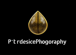 Перші кроки в Python