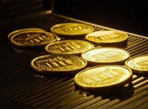 Попри зниження ПДВ, шніцель не подешевшає