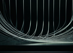 Інтенсивні тренування, відсутність прогресу: Чому зупиняється ріст м'язів?