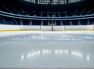 Джеррі Флемінг очолив "Дрезднер Айсльовен" із завданням врятувати команду від вильоту