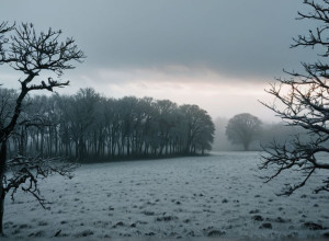 Грудень у Німеччині: Від Теплого Старту до Зимових Сюрпризів