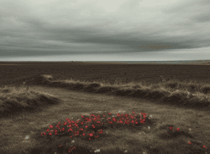 Цинічний жест у Мурманську: матерям загиблих росіян подарували м'ясорубки