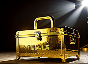 Інвестор Tesla затриманий за підозрою у привласненні золотого скарбу