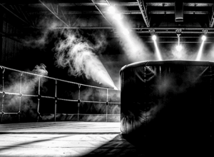 «Безпрецедентний напад на фанатів»: WWE вибачається після виступу Джона Сіни