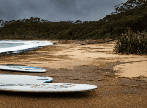 Тривога на пляжі в Австралії: отруйна піна загрожує відпочивальникам та морським мешканцям
