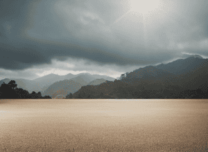 Зірка Голлівуду для «Диво-жінки» Гадот: Церемонію затьмарили протести