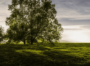 Огляд Samsung Galaxy Tab A9+: Бюджетний планшет за 249 євро