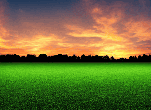 Контракт добігає кінця: Чи переїде цей професіонал із Саарбрюкена до Іспанії? Футбольні трансфери