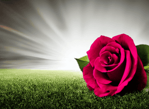 У чому секрет AnNa R. – Таємниця співачки Rosenstolz!