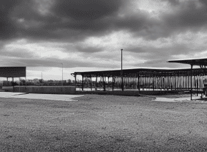 Напад на польських прикордонників: Брутальність мігрантів на кордоні ЄС