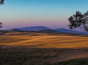 Покращення сну: природні засоби для вироблення мелатоніну