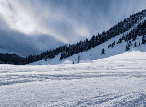 Легенда лиж Нойройтер критикує тренера Хорватії