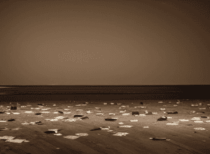 Паола Марія: плани після вильоту з «Let’s Dance»