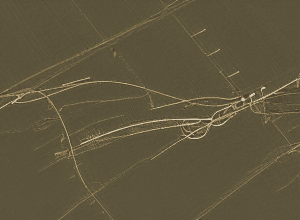 Левандовскі: Дайте Іммобіле більше часу!