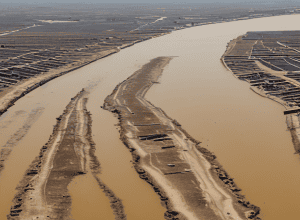 Боденське озеро: посуха та низький рівень води