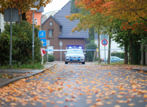 Трагедія в Саксонії-Ангальт: 4-річний хлопчик загинув під колесами фургона