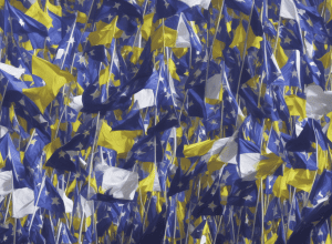 FDP: Курс на розкол? Аналіз внутрішньої боротьби