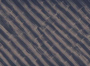 У футбольному клубі Східної Німеччини «Вакер Нордгаузен» немає бажаючих бути керівником