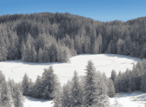 Франциска Пройс: плани після перемоги в Кубку світу та підготовка до Олімпіади-2026